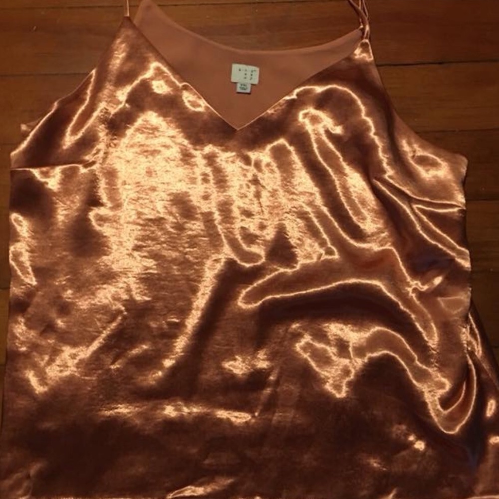 Women’s 2X “A New Day” silk burnt orange tank top